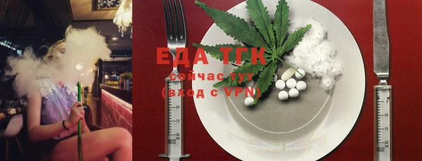 индика Алексин