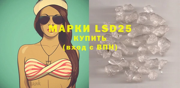 индика Алексин