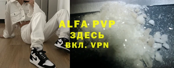 индика Алексин