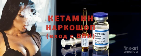 индика Алексин