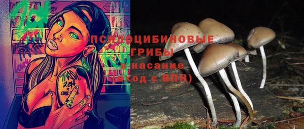 ешки Алзамай