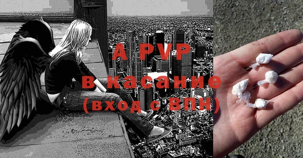 индика Алексин