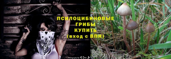 ешки Алзамай