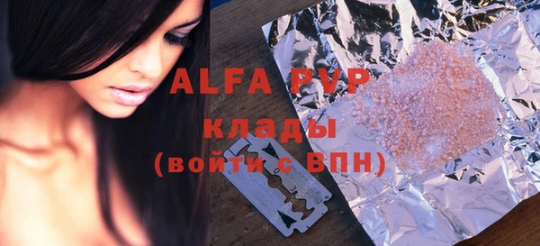 индика Алексин